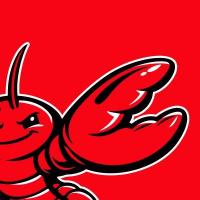 OpenClaw est il Dangereux